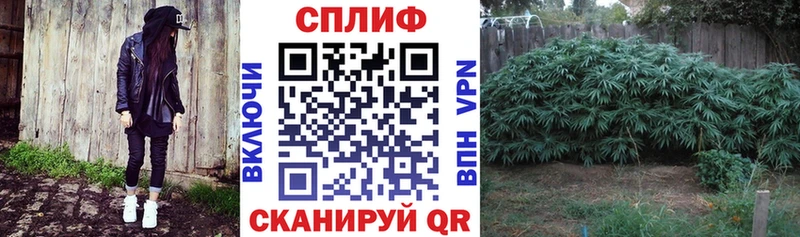 Наркошоп купить ГАШИШ  COCAIN  Меф мяу мяу  Каннабис  Каргат