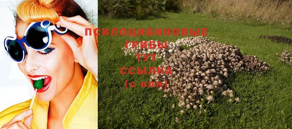 прущие грибы Зеленодольск