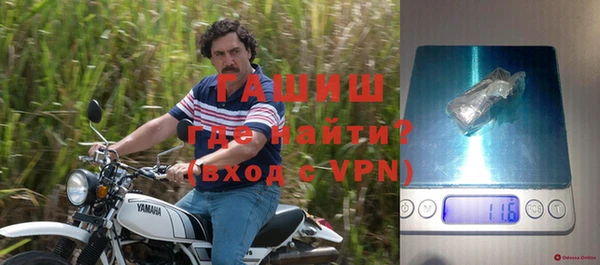 прущие грибы Зеленодольск