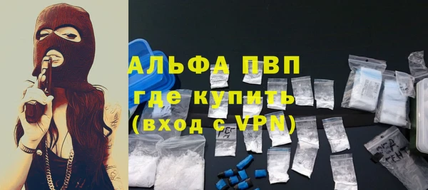прущие грибы Зеленодольск