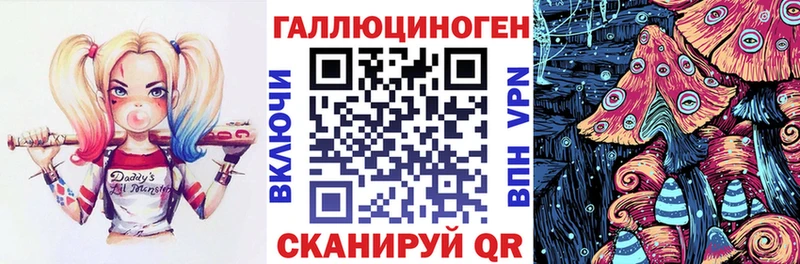Купить  Каргат  Галлюциногенные грибы Cubensis 